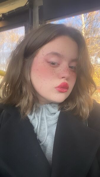  ,   Camellia, 23 ,     , 