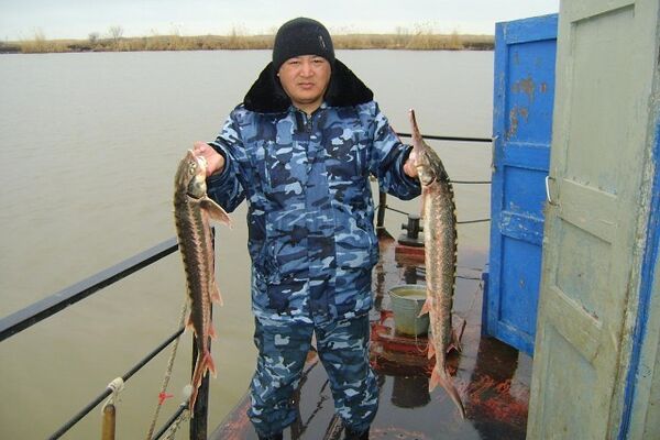  ,   Batyikhan, 47 ,   