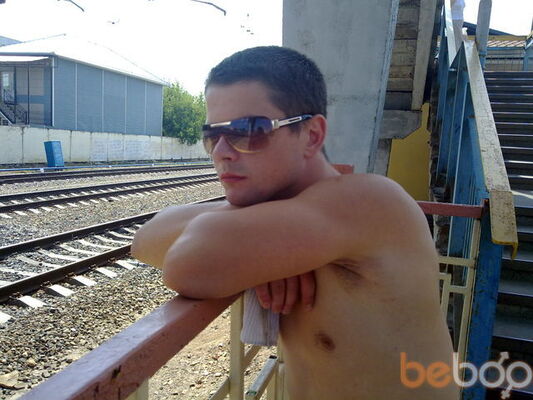  ,   Coleafilea, 40 ,   