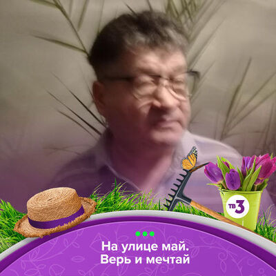   ,   , 55 ,   ,   