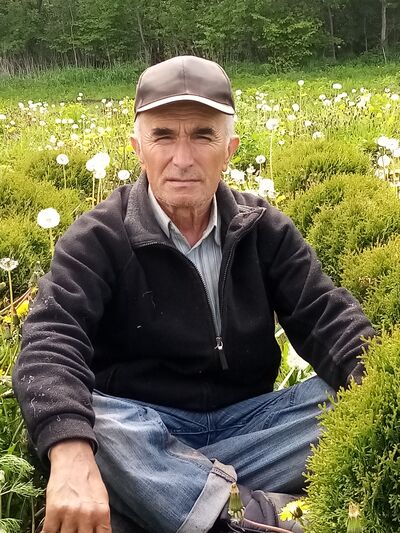  ,   , 65 ,   ,   