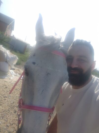  --,   , 38 ,   ,   