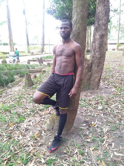  -,   INTELLIGENT, 33 ,   ,   , c 