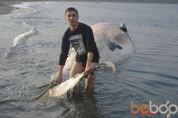  ,   Sardorchik, 36 ,     , c , 