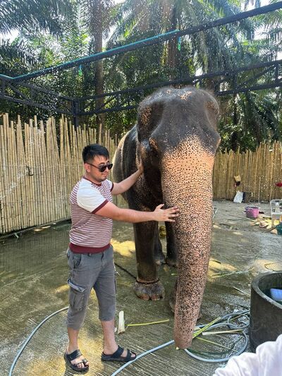  ,   Dilmurod, 28 ,   ,   
