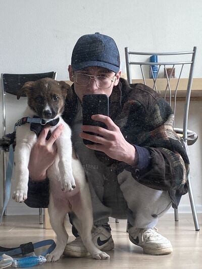  ,   , 21 ,   ,   , 