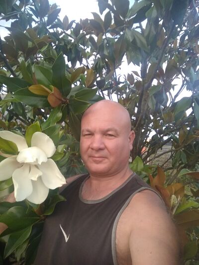  Chorzow,   , 44 ,   ,   