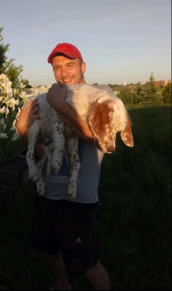  ,   , 39 ,   ,   , c , 