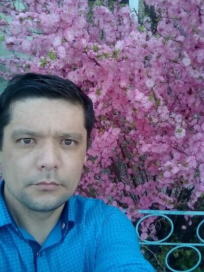  ,   , 41 ,   c 