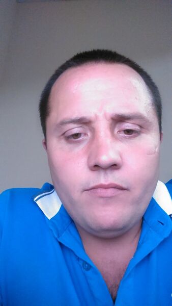  ,   , 41 ,   