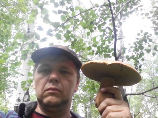  ,   , 54 ,     , c 