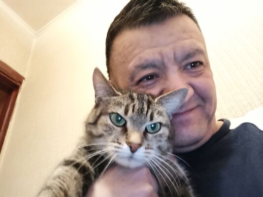  ,   , 54 ,   ,   