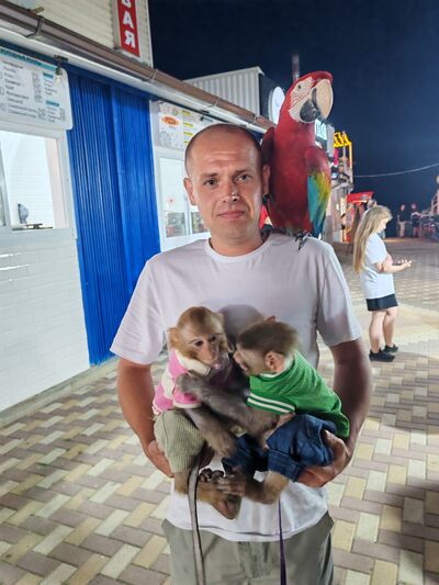  ,   , 41 ,   ,   