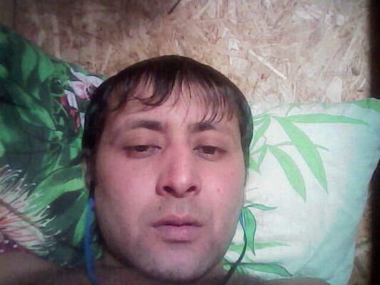   ,   , 41 ,   ,   , 
