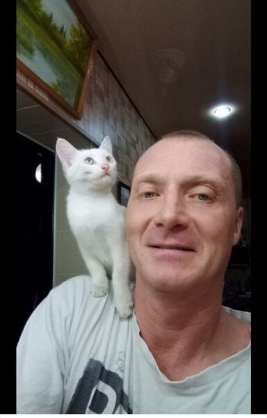  ,   , 48 ,   