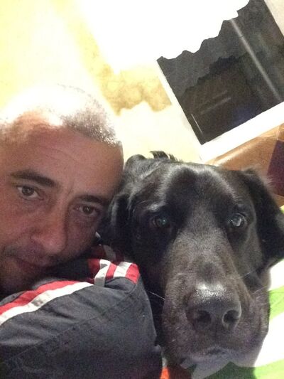   ,   , 45 ,  