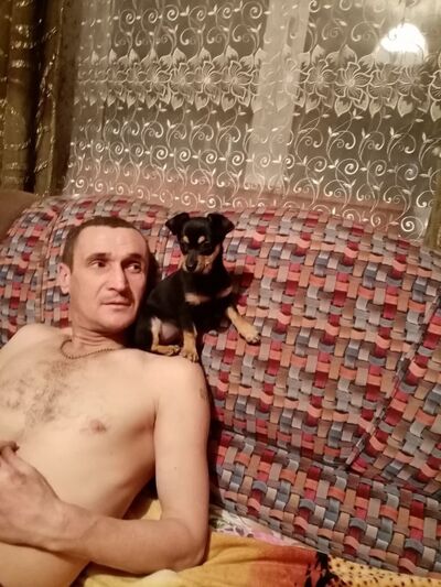  ,   , 46 ,   ,   