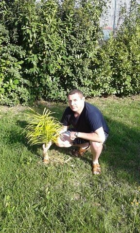  ,   , 49 ,   