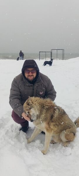  -,   Vasili, 40 ,   ,   