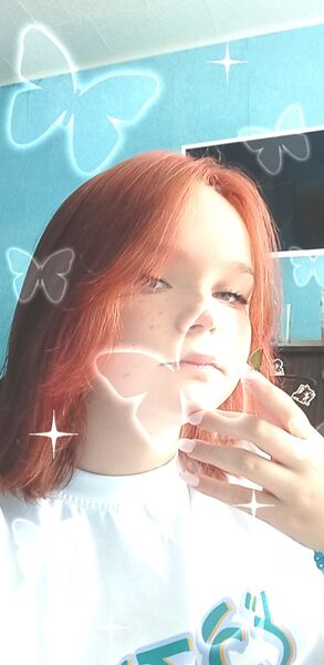  -,   , 24 ,   ,   