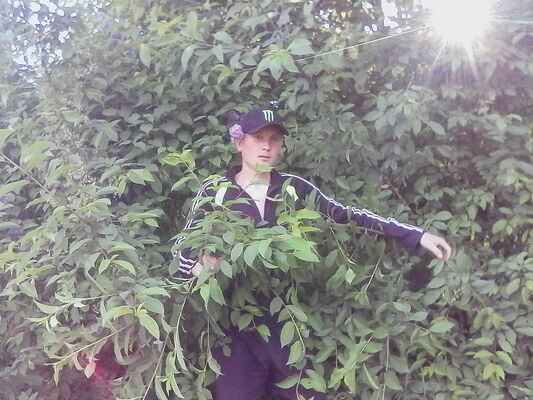  ,   , 29 ,   ,   , c 
