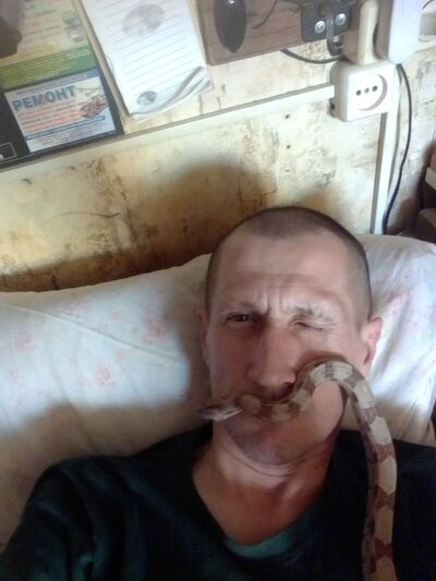  -,    , 49 ,   ,   