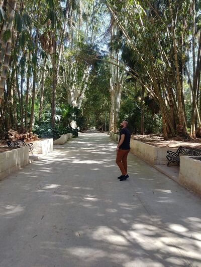  Algiers,   Mahi, 31 ,   ,   