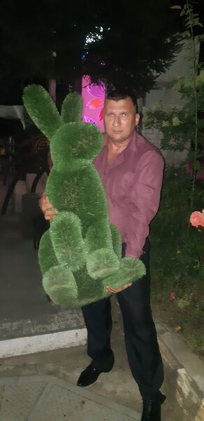  ,   , 48 ,   ,   