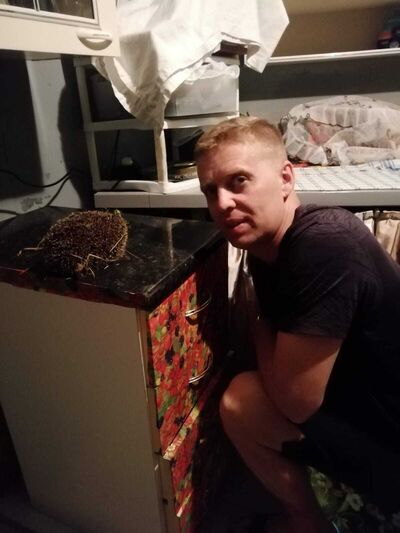  ,   , 43 ,   ,   