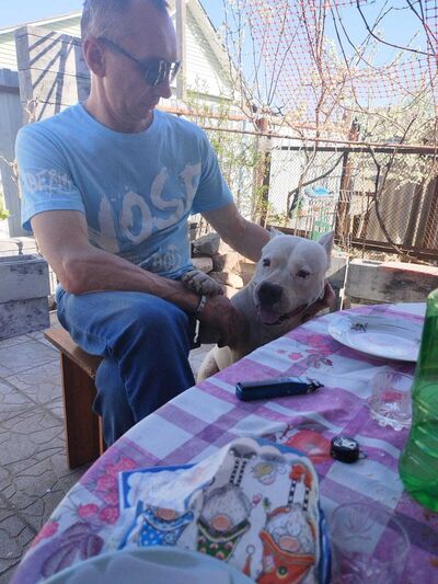  ,   Sergey, 51 ,   ,   , c 