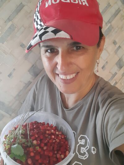   ,   , 55 ,     