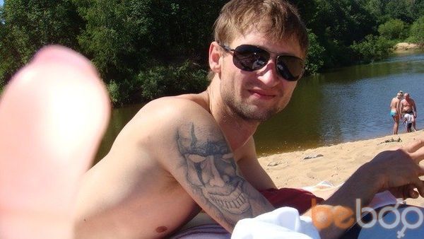  3631281  , 40 ,    -