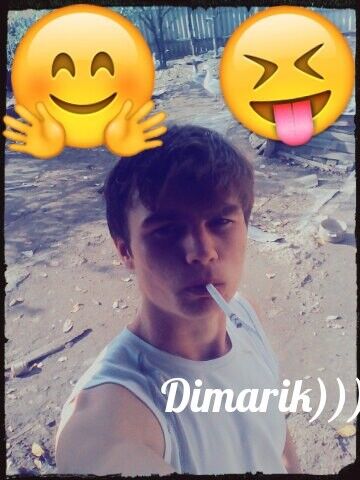  ,   Dimsons, 29 ,   