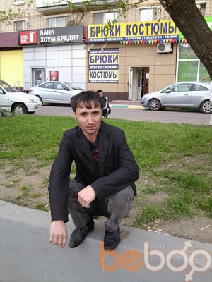  ,   Slon, 44 ,   , 