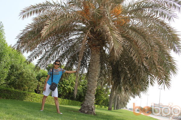 ���������� ������, ���� ������� ����, 37 ���, ������������ ��� ������, ����� � ���������, c�������� ���������