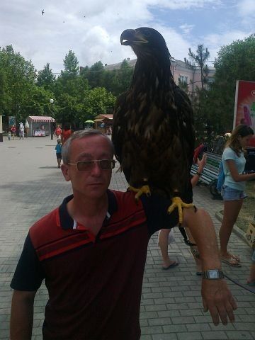  ,   , 54 ,   