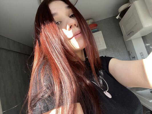  Novy,   , 23 ,   ,   