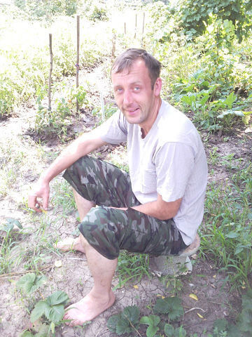  ,   , 45 ,   