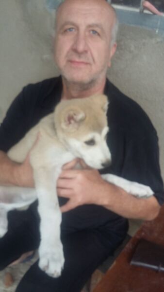  ,   George, 62 ,   ,   