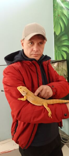  ,   , 37 ,   c 