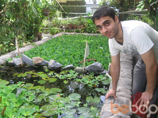 ���������� ���������, ���� ������� �����, 36 ���, ������������ 