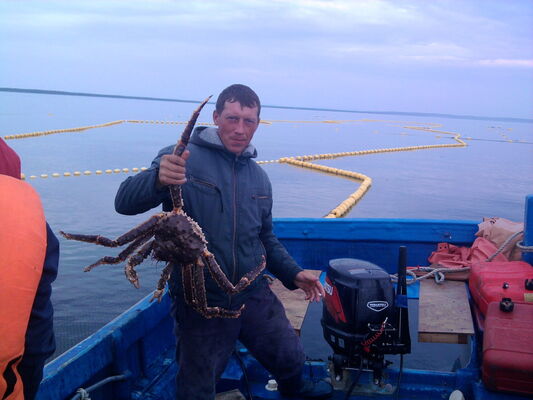  ,   89145908161, 44 ,   ,   , c 