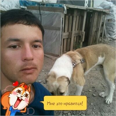  ,   , 31 ,   ,   , c , 