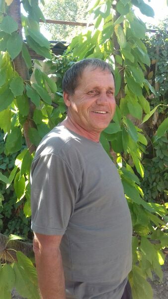  ,   , 62 ,   c , 