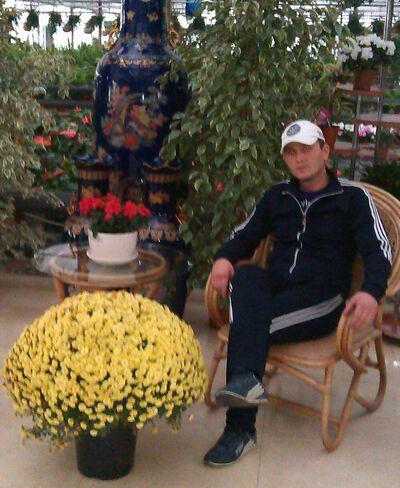  ,   , 38 ,   