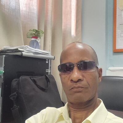  Havana,   Bufalo, 61 ,   ,   