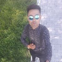  16006901  , 31 ,    