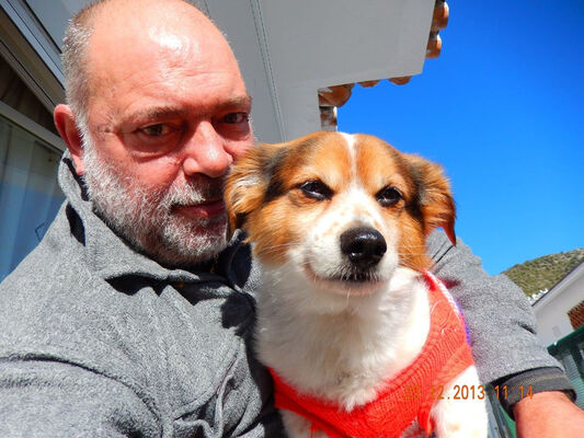  Algolsheim,   Sadovileblan, 61 ,   ,   , c 