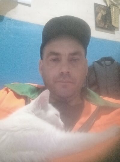  ,   , 43 ,   ,   