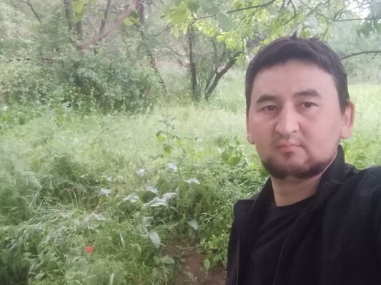  ,   Dima, 31 ,   ,   